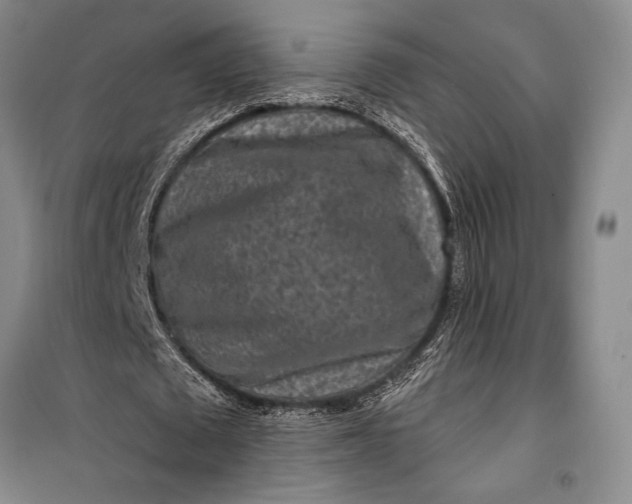 X0000100210673200806131253