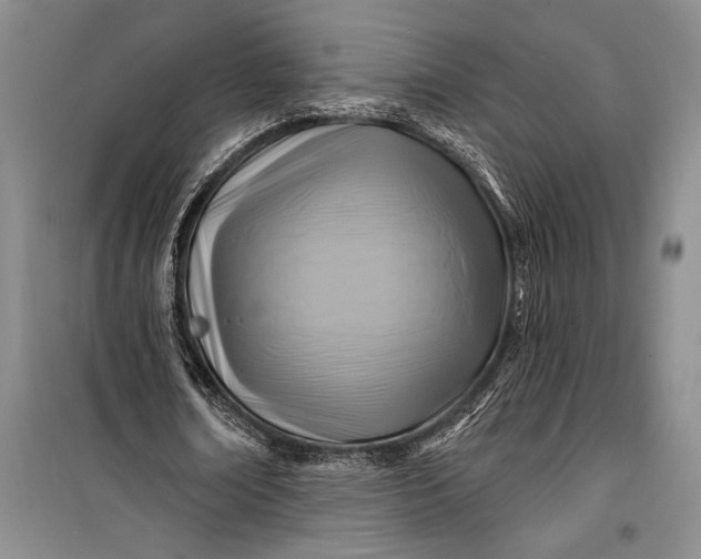 X0000100210674200806131253