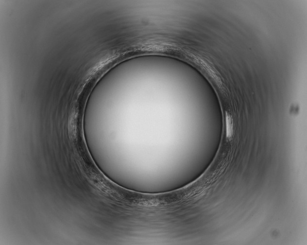 X0000100210675200806131253