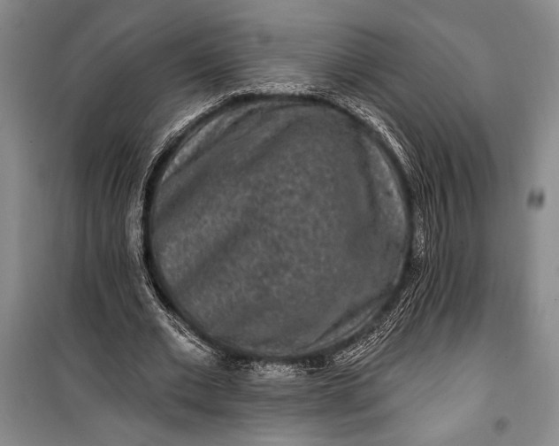 X0000100210677200806131253