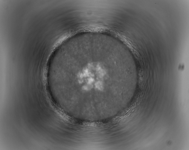 X0000100210679200806131253