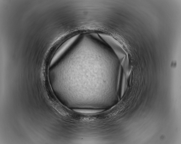 X0000100210680200806131253