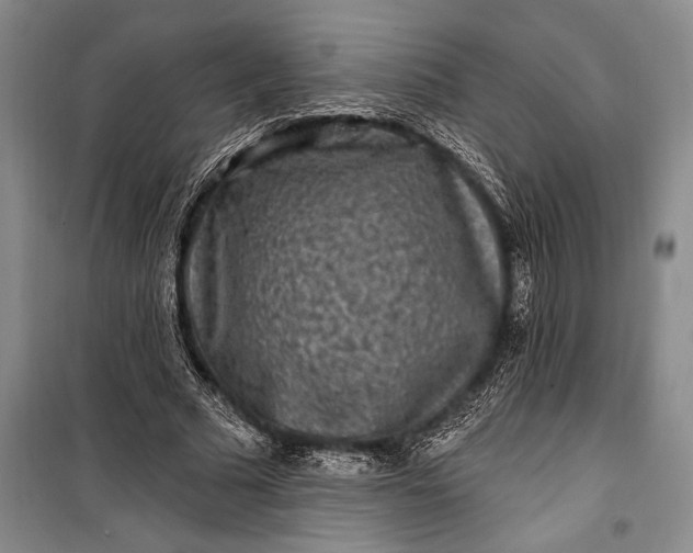 X0000100210681200806131252