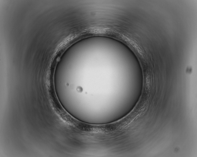 X0000100210682200806131252