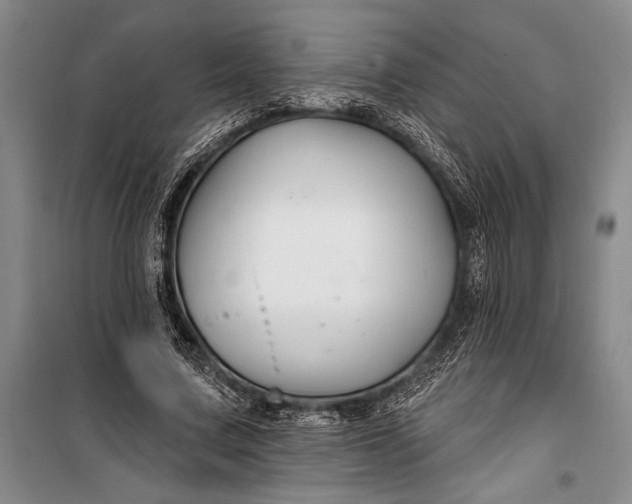 X0000100210683200806131252