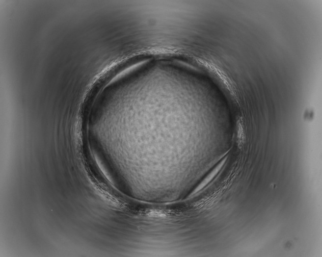 X0000100210684200806131252