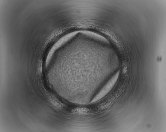 X0000100210685200806131252