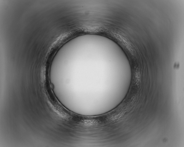 X0000100210686200806131252