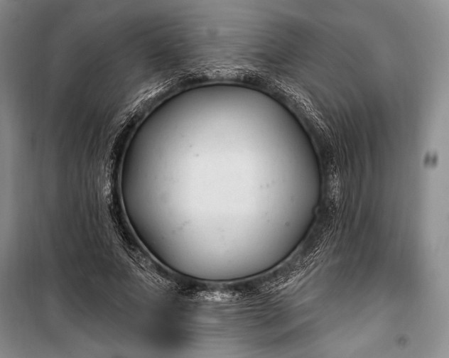 X0000100210687200806131252