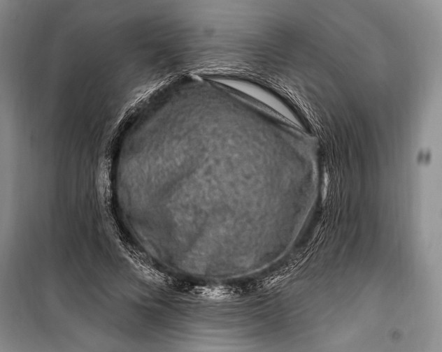 X0000100210688200806131252