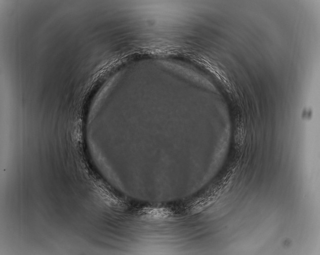 X0000100210689200806131252