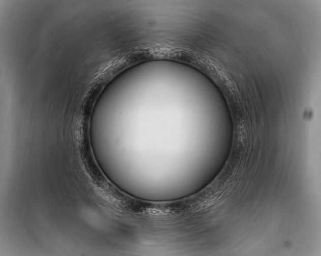 X0000100210690200806131252