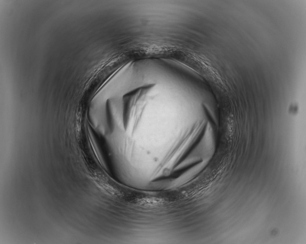 X0000100210691200806131252