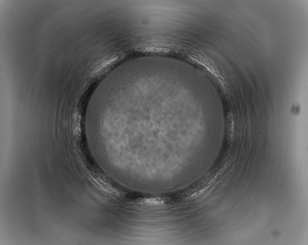 X0000100210692200806131252