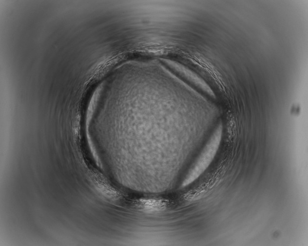 X0000100210693200806131252