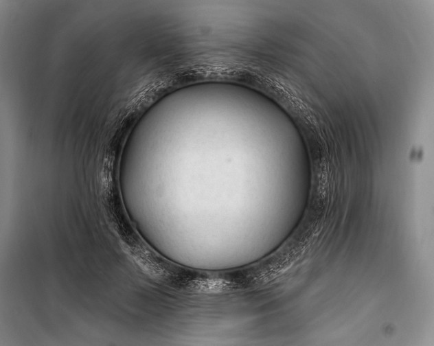 X0000100210695200806131252