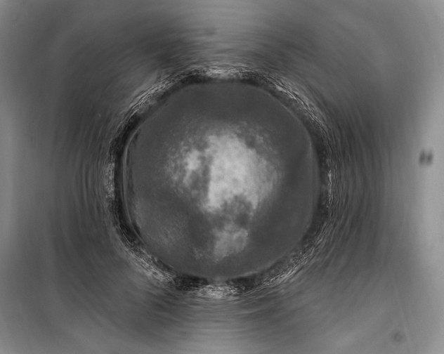 X0000100210696200806131252