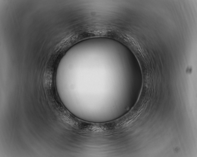 X0000100210697200806131252