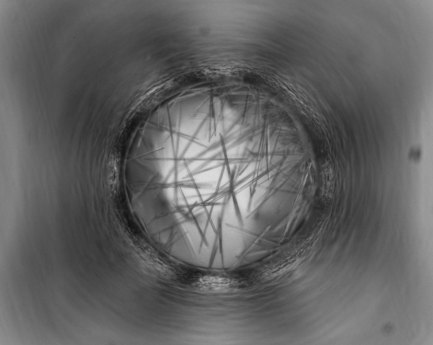 X0000100210699200806131252