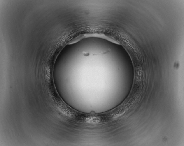 X0000100210700200806131252