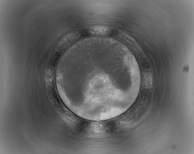 X0000100210701200806131252