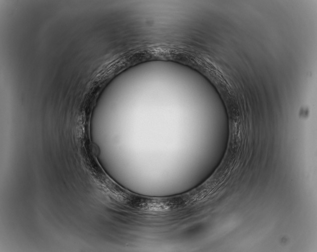 X0000100210702200806131252