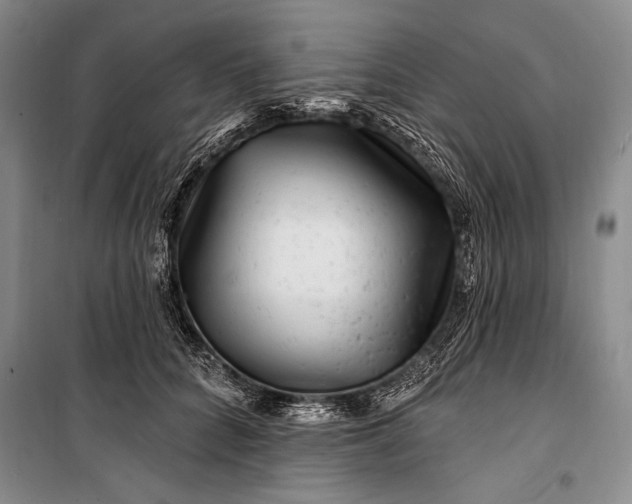 X0000100210704200806131252