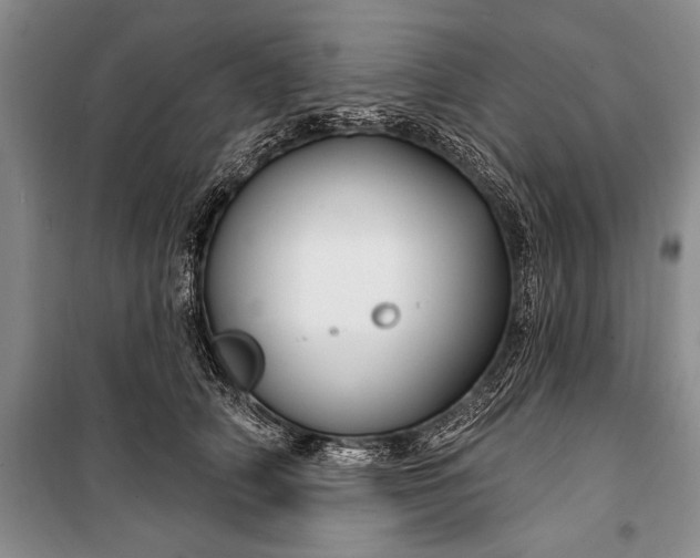 X0000100210706200806131252