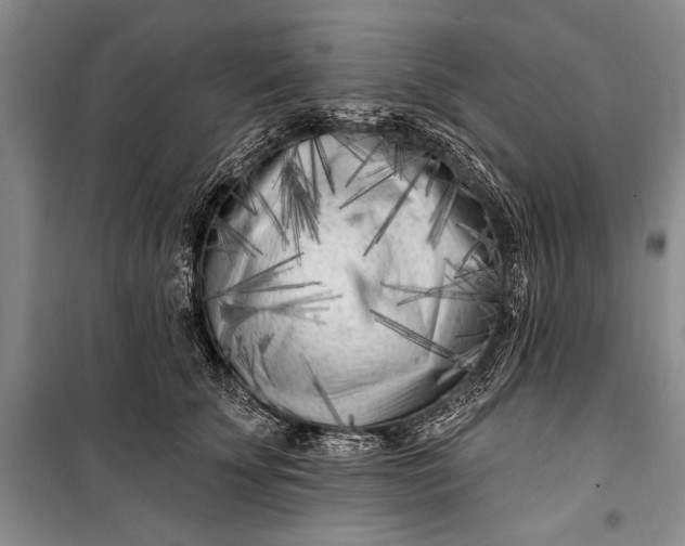 X0000100210707200806131252