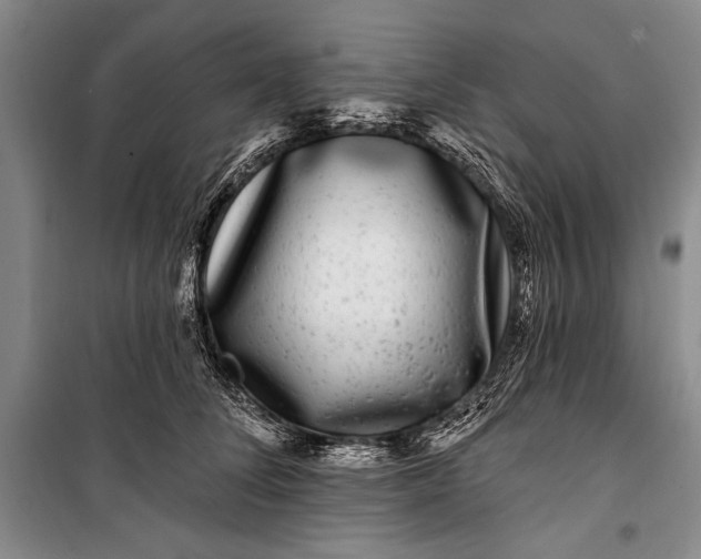 X0000100210708200806131252