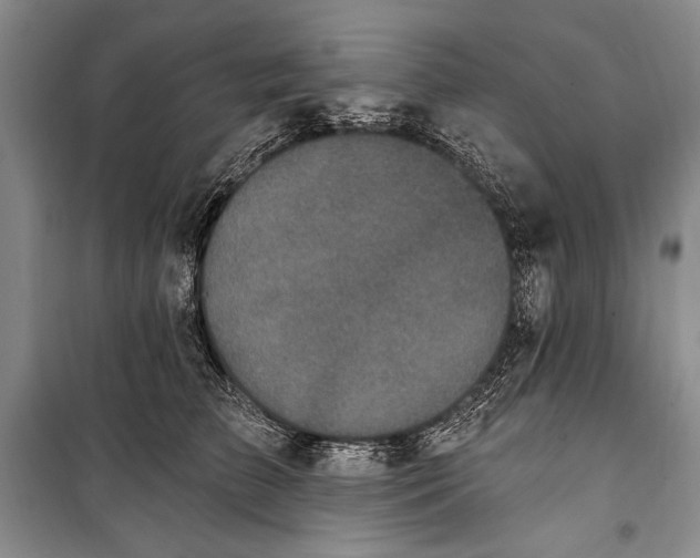 X0000100210709200806131252