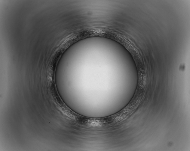 X0000100210710200806131252