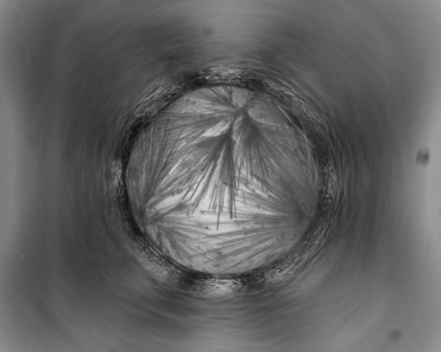 X0000100210711200806131252