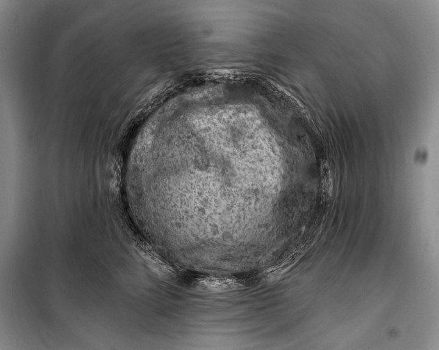 X0000100210712200806131252