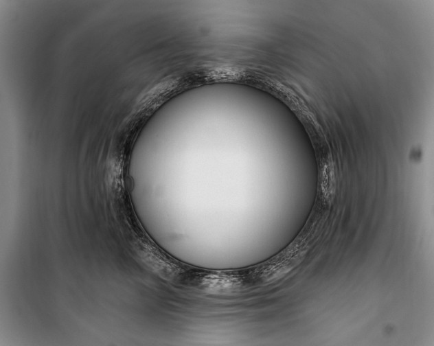 X0000100210714200806131252