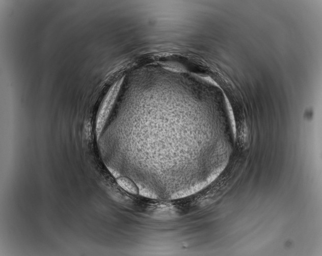 X0000100210715200806131252