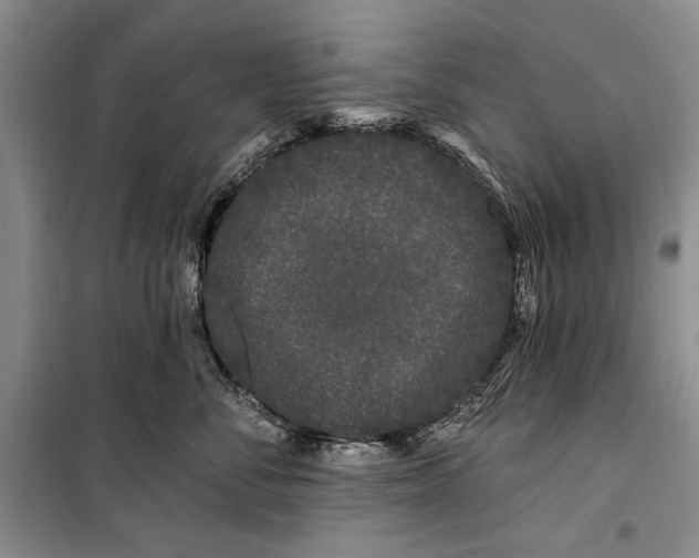 X0000100210716200806131252