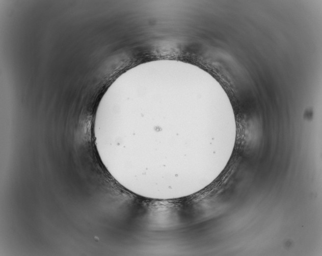 X0000100210717200806131252