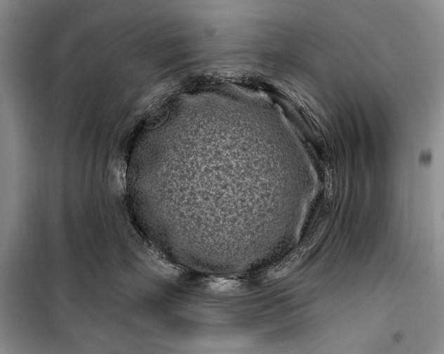 X0000100210718200806131252