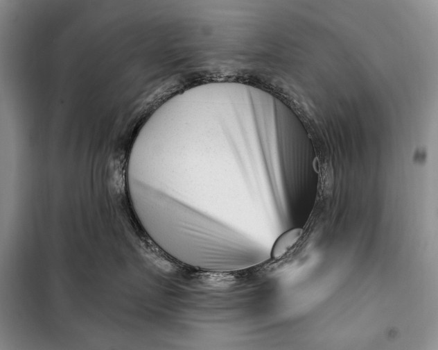 X0000100210719200806131252