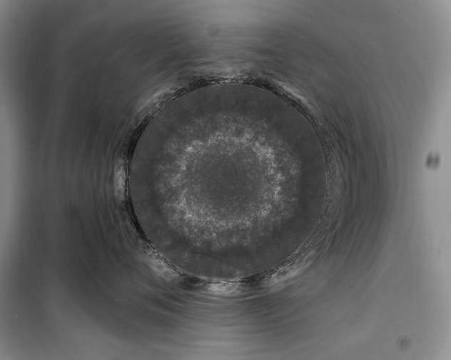 X0000100210720200806131252