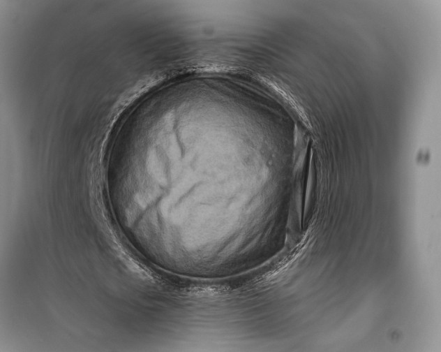 X0000100210721200806131251