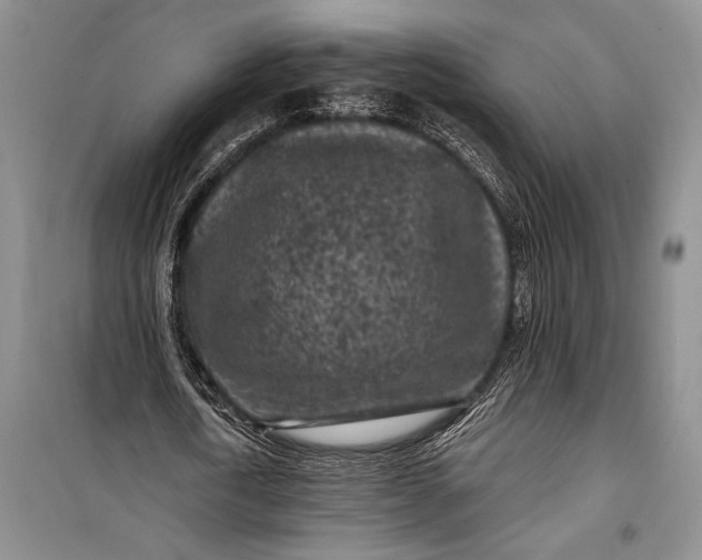 X0000100210722200806131251