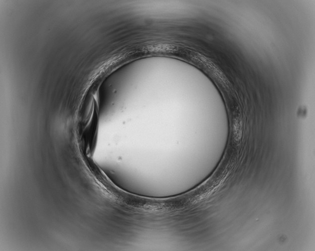 X0000100210725200806131251