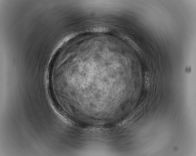 X0000100210726200806131251