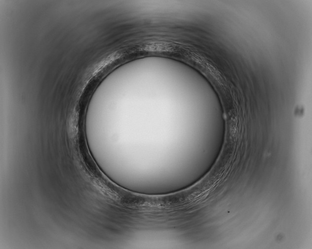 X0000100210727200806131251