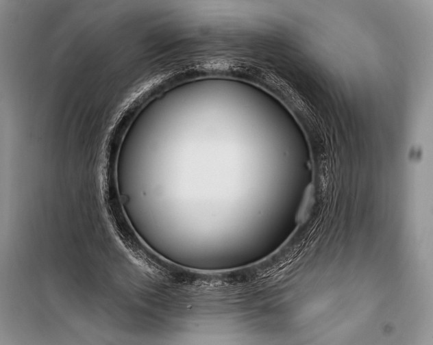 X0000100210728200806131251