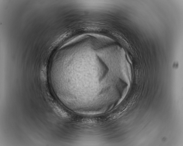 X0000100210729200806131251