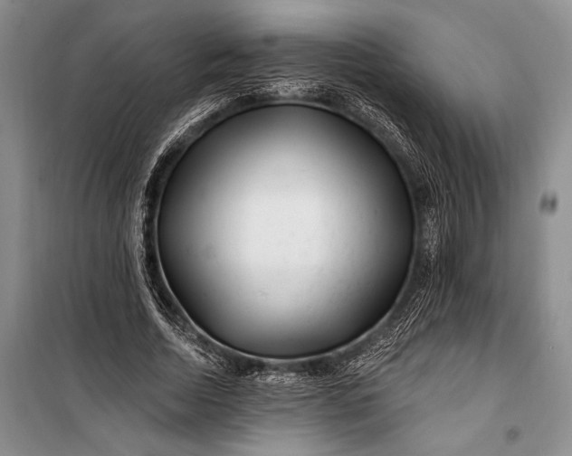 X0000100210730200806131251