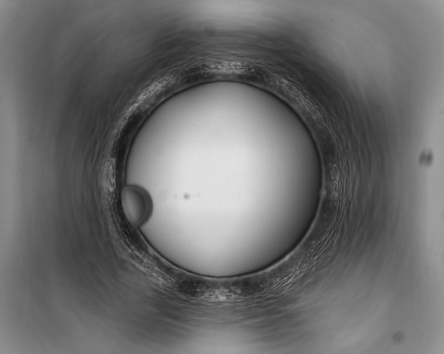 X0000100210731200806131251